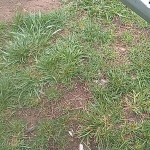 Meet your Posher, Josh